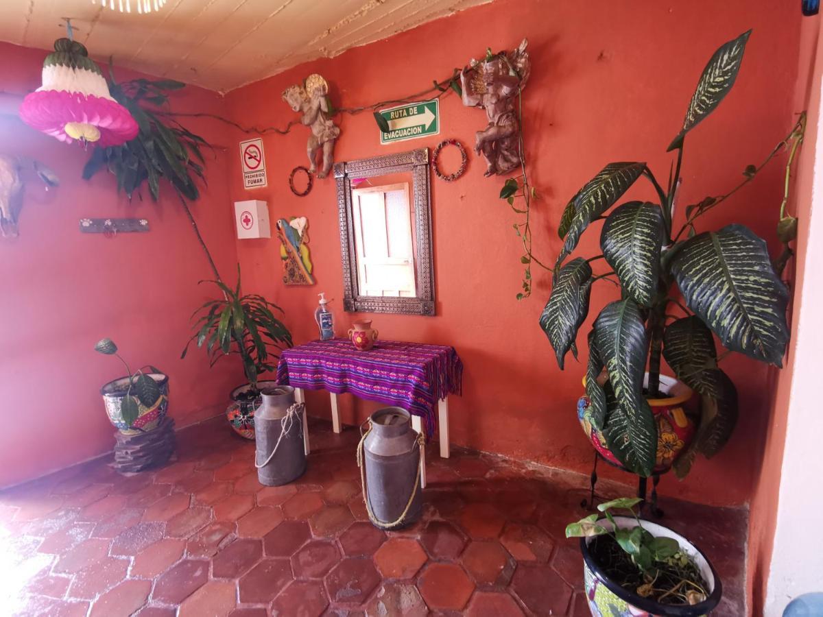 La Casa Del Abuelo Pansiyon San Miguel de Allende Dış mekan fotoğraf