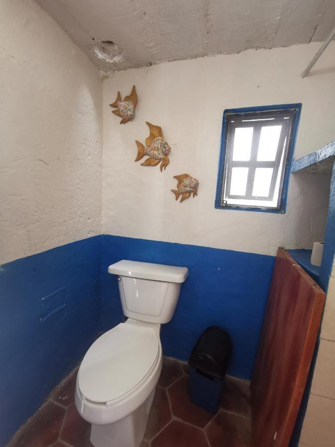 La Casa Del Abuelo Pansiyon San Miguel de Allende Dış mekan fotoğraf