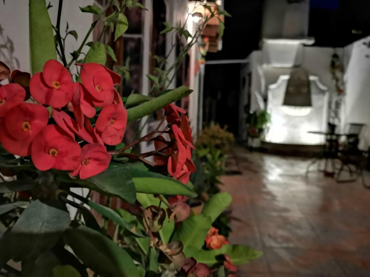 La Casa Del Abuelo Pansiyon San Miguel de Allende Dış mekan fotoğraf